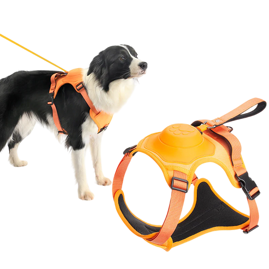 Wellichor™ Dog Harness and Retractable Leash Set All-in-One