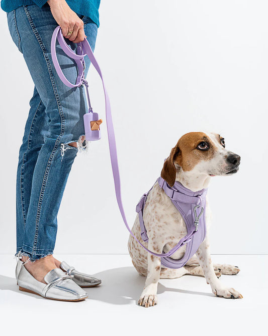 Wellichor™ Harness Walk Set